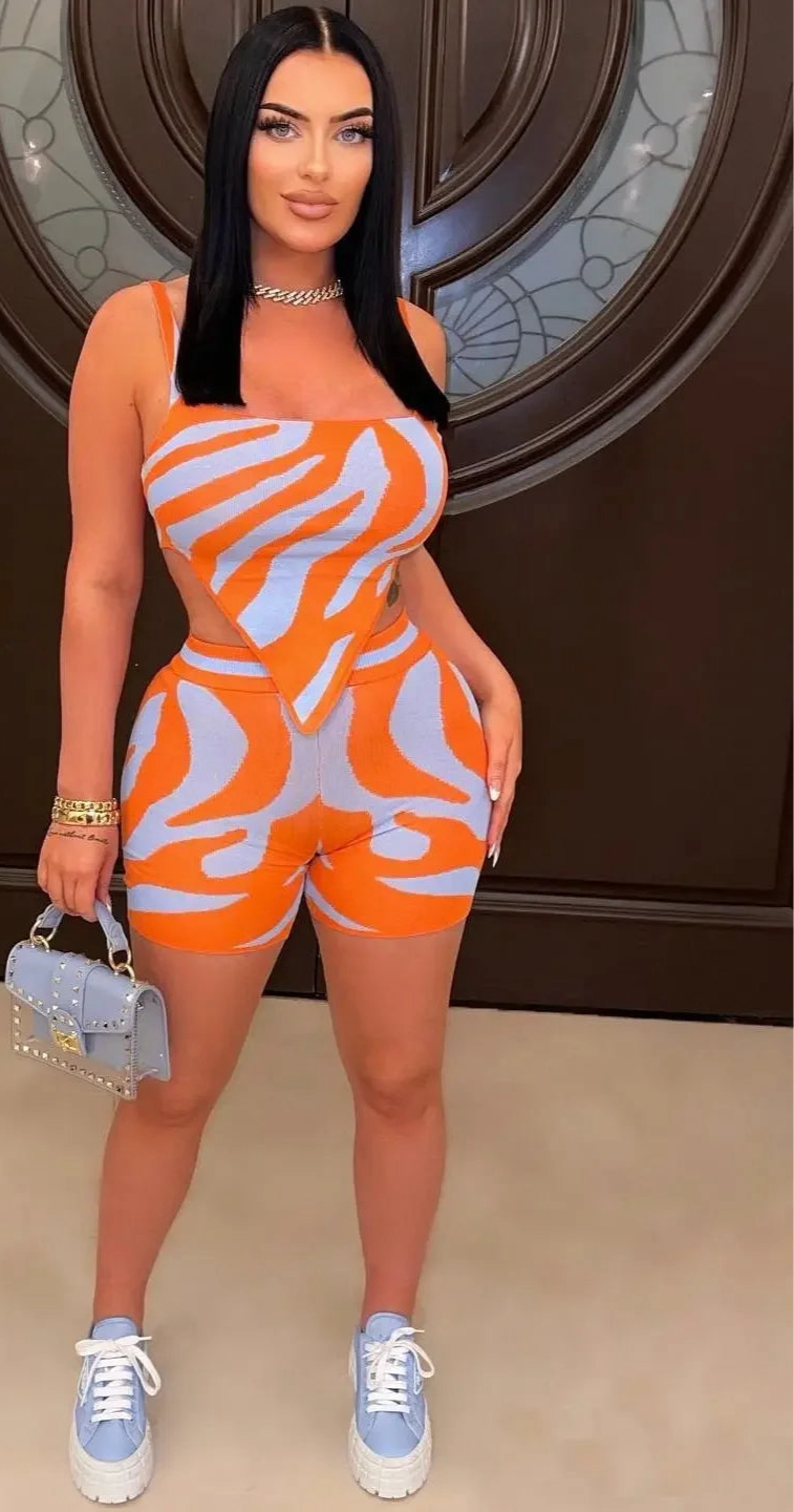 ZebraCharge Set
