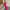 product/2024/12/16/1868585517482905600.jpg